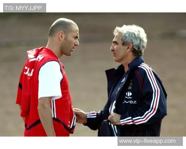 多梅内克回忆齐达内事件并谈国脚选拔背后的思考与决策